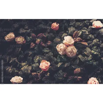 Tranh hoa hồng đã có khung - ADB13303