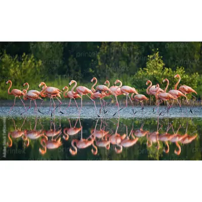 Tranh dán tường 3D chim hồng hạc - TB332457766