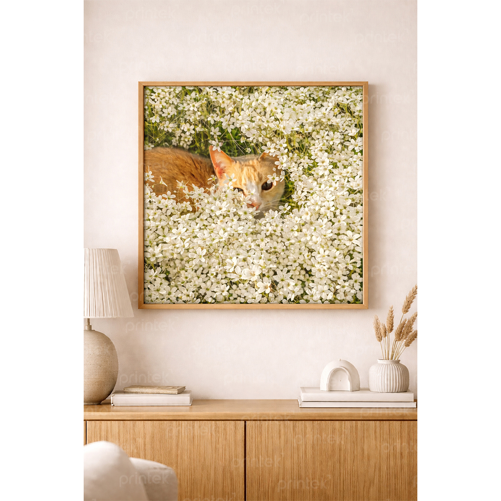 Tranh phong cảnh chú mèo và hoa - PC5353
