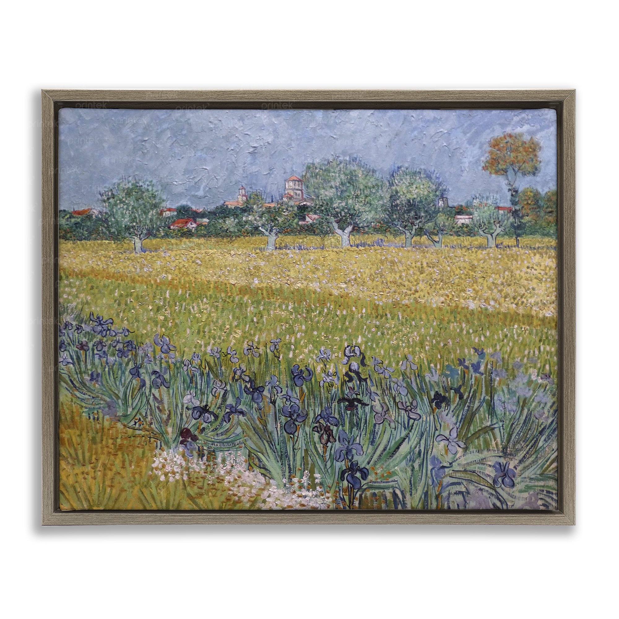 Tranh Cánh đồng hoa diên vĩ Van Gogh, đã có khung