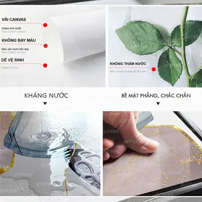Gioi thieu tranh Canvas