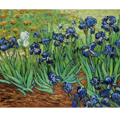 Bức tranh “Irises” của Van Gogh - VG1021