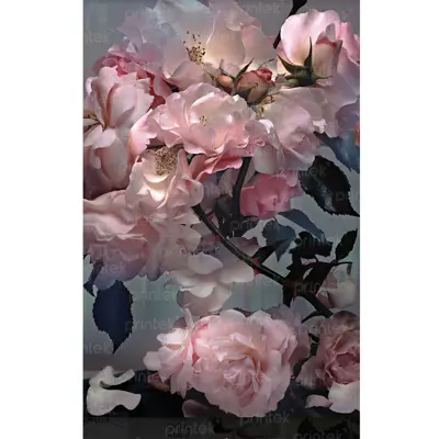 Tranh hoa hồng, đã có khung - H6566