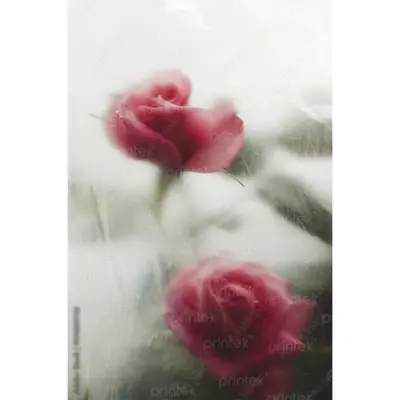 Tranh hoa hồng, đã có khung - ADB13280