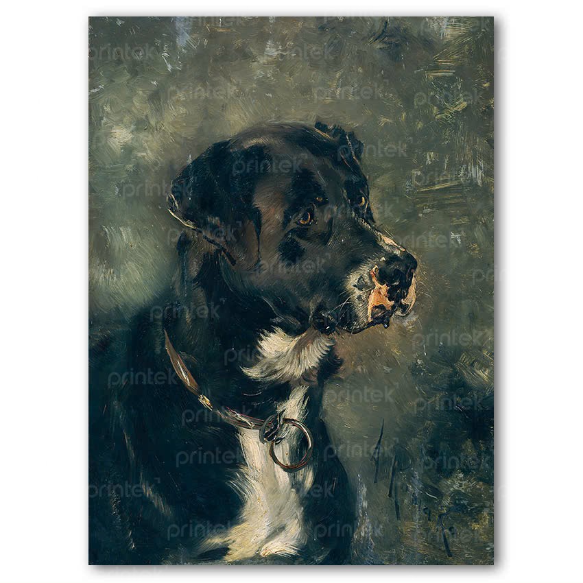 Tranh chân dung chú chó